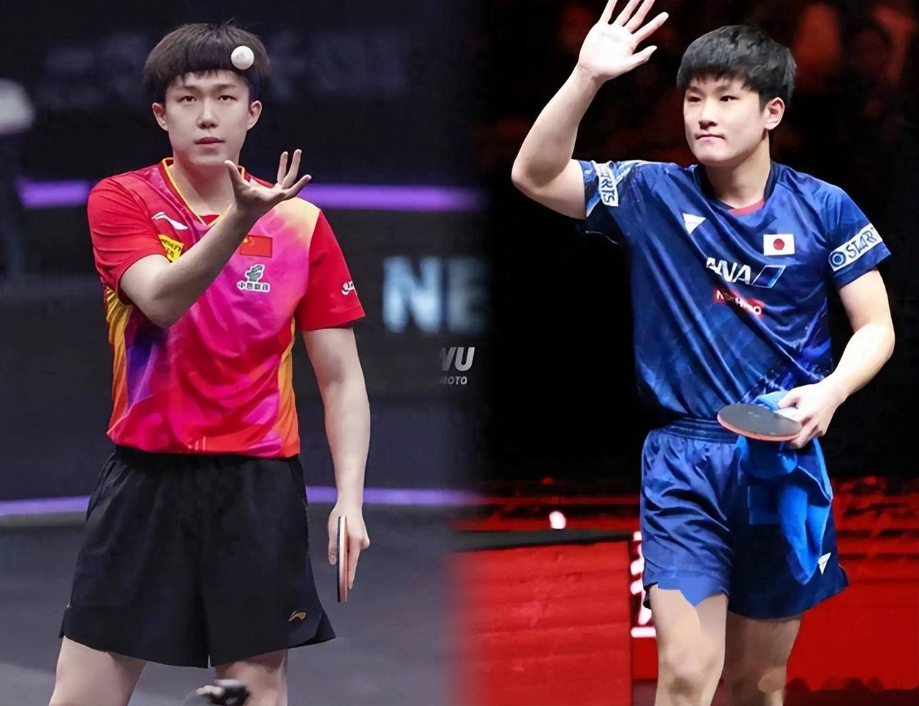 中国队力克法国队，张本智和统治全场的简单介绍