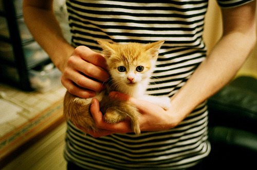 绿茵场的双重奏，当团队铁壁碾过马里，个人数据点燃伯纳乌