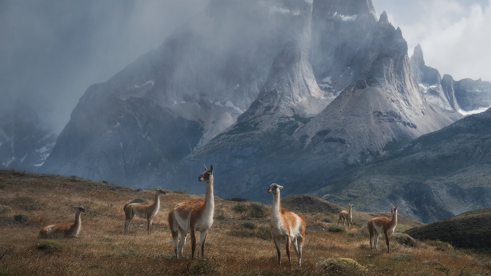 年度焦点之战，浙江寒流席卷盐湖城，终结爵士的不仅仅是连胜