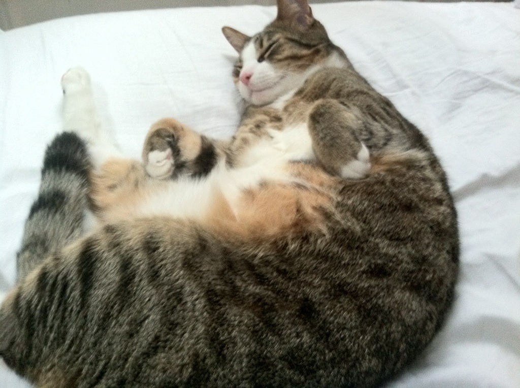 驯牛之战，利剑出鞘，莱万用两粒进球诠释何谓大场面先生