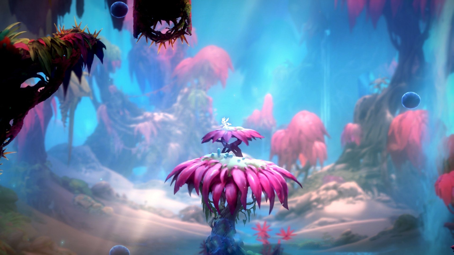 拉齐奥对阵威尔士友谊赛激战落幕，奥斯梅恩赛后评分拉满引热议