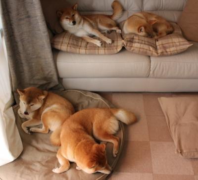 特奥一条龙撕裂防线!沙特门神全程高能输出仍难阻日本逆转