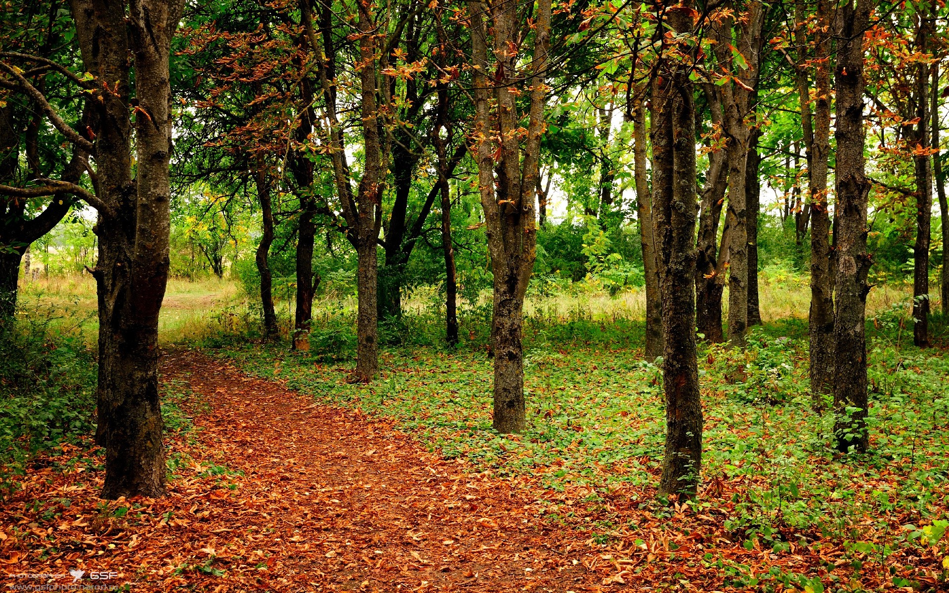 欧冠淘汰赛之夜,乔治的猩红王座与球场的统帅权杖