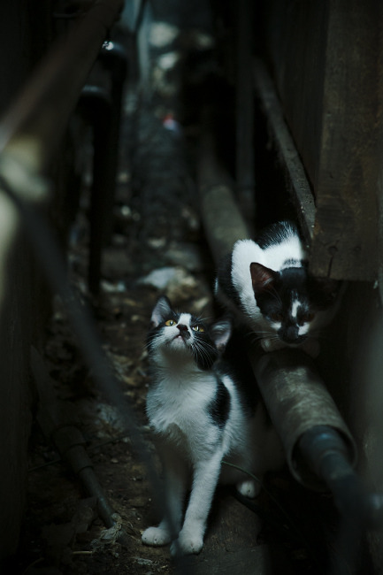 绿茵场上的逆转奇迹，坎特如何以血肉之躯，为洪都拉斯撑起对抗巴萨的天空？