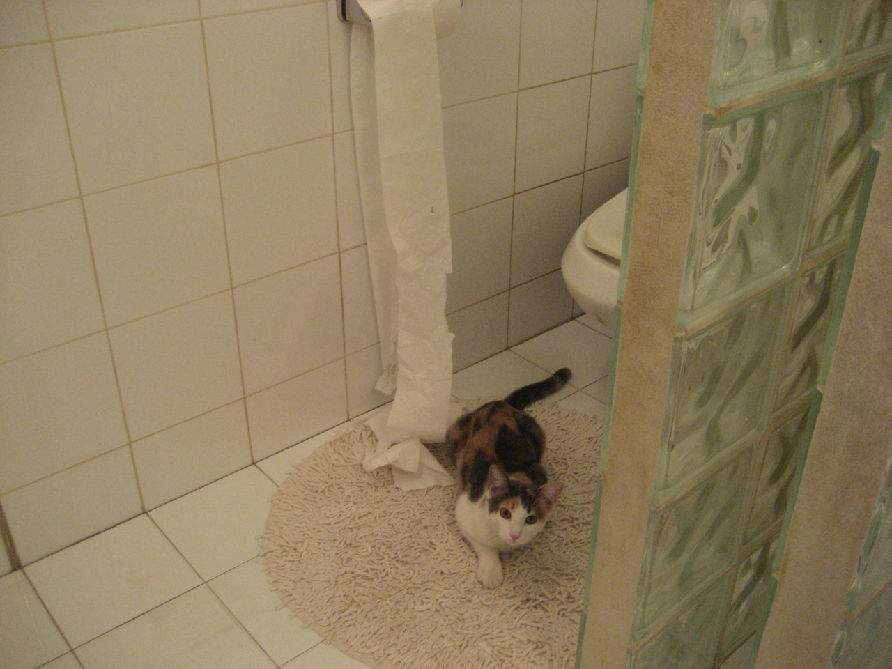 暗流与獠牙，当苏格兰风暴眼托尼遭遇南非的绿色狂潮