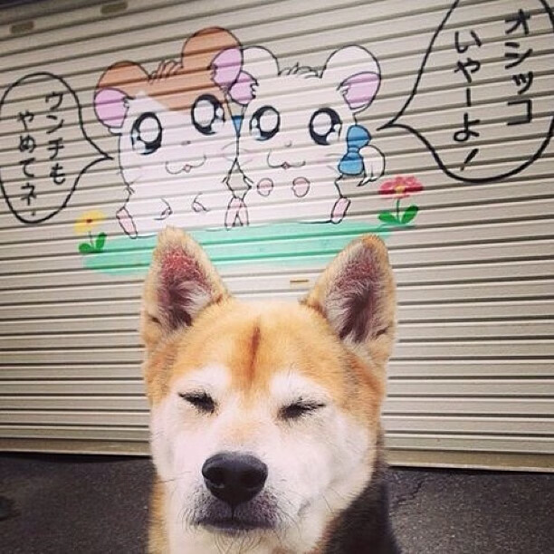 科怀·伦纳德，黄蜂对阵雄鹿的胜负手