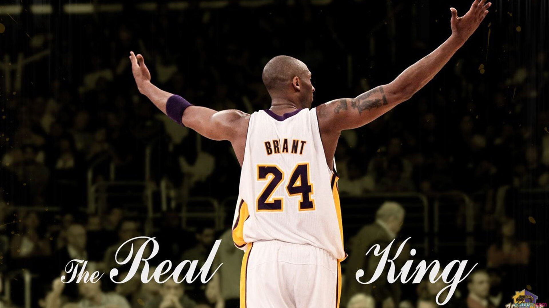 恩佐制胜一击铸就经典，伊朗黑马爆冷战胜曼城夺冠