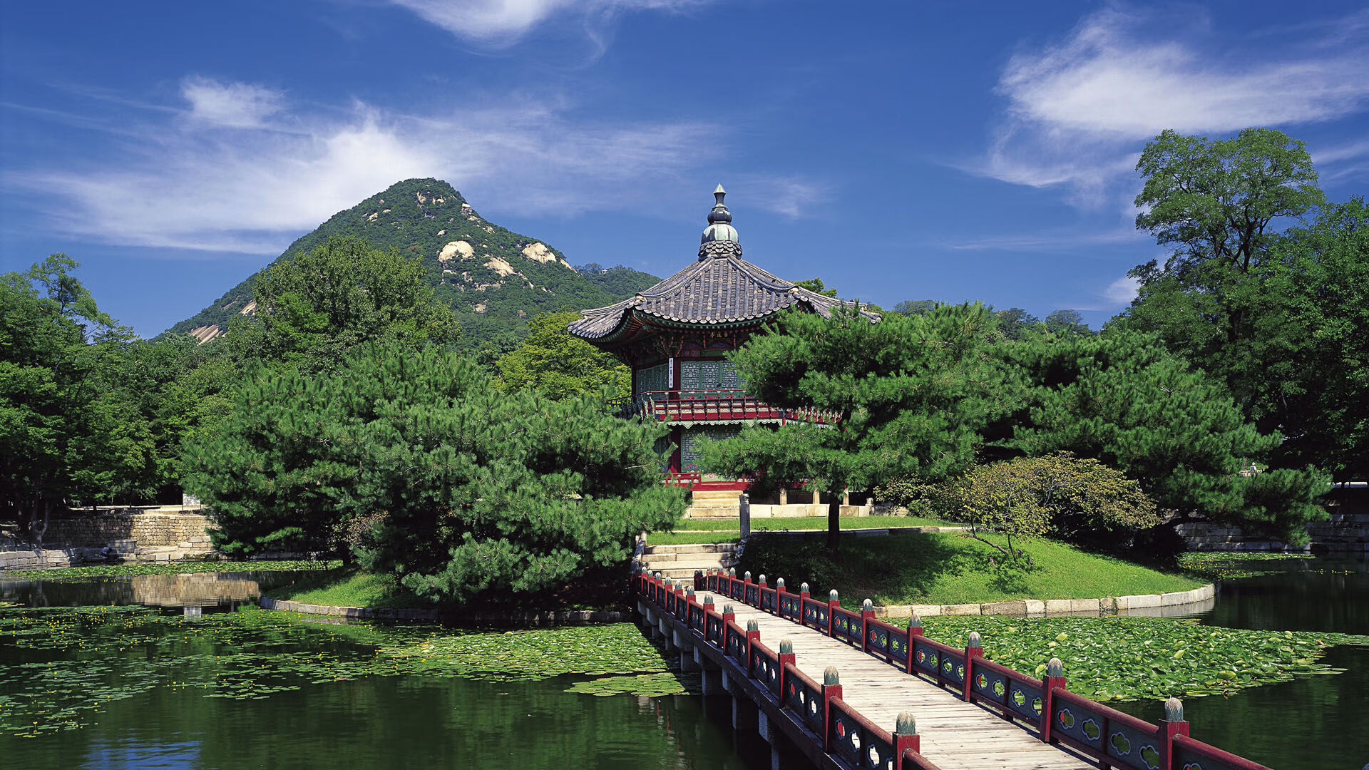 阿劳霍一战封神！率牙买加力克突尼斯，世界排名争夺战上演接管剧本