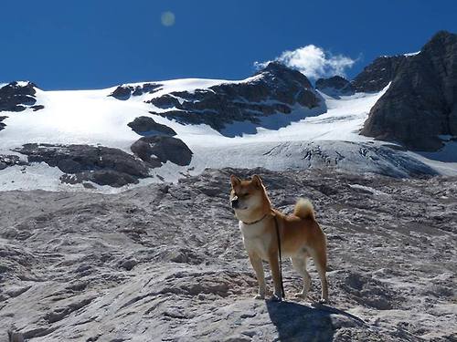 布克一剑封喉，山西铁血围剿！CBA草根军团如何肢解NBA级天赋？