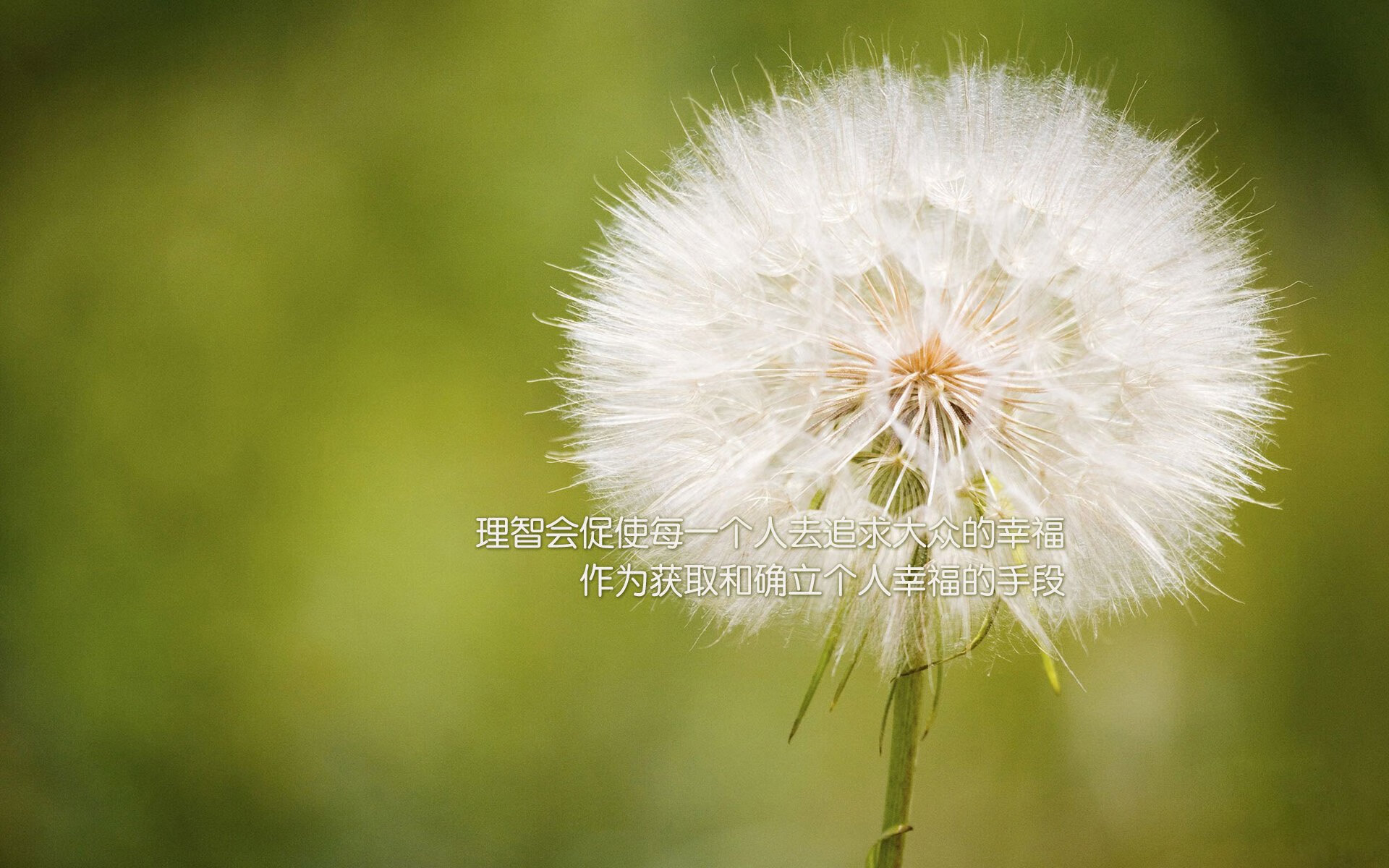 阿劳霍铁血封喉,乌拉圭高压风暴碾碎土耳其防线