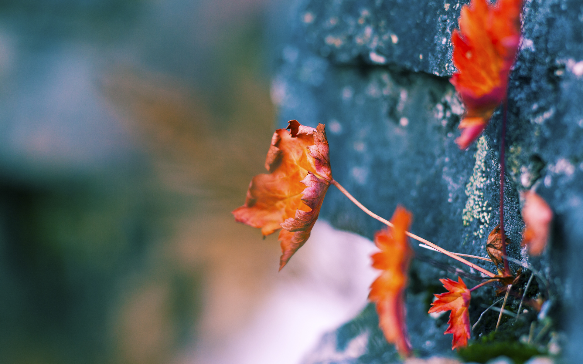 丝绒手套里的铁腕，当西班牙的全面压制遇上若日尼奥的扛鼎之力