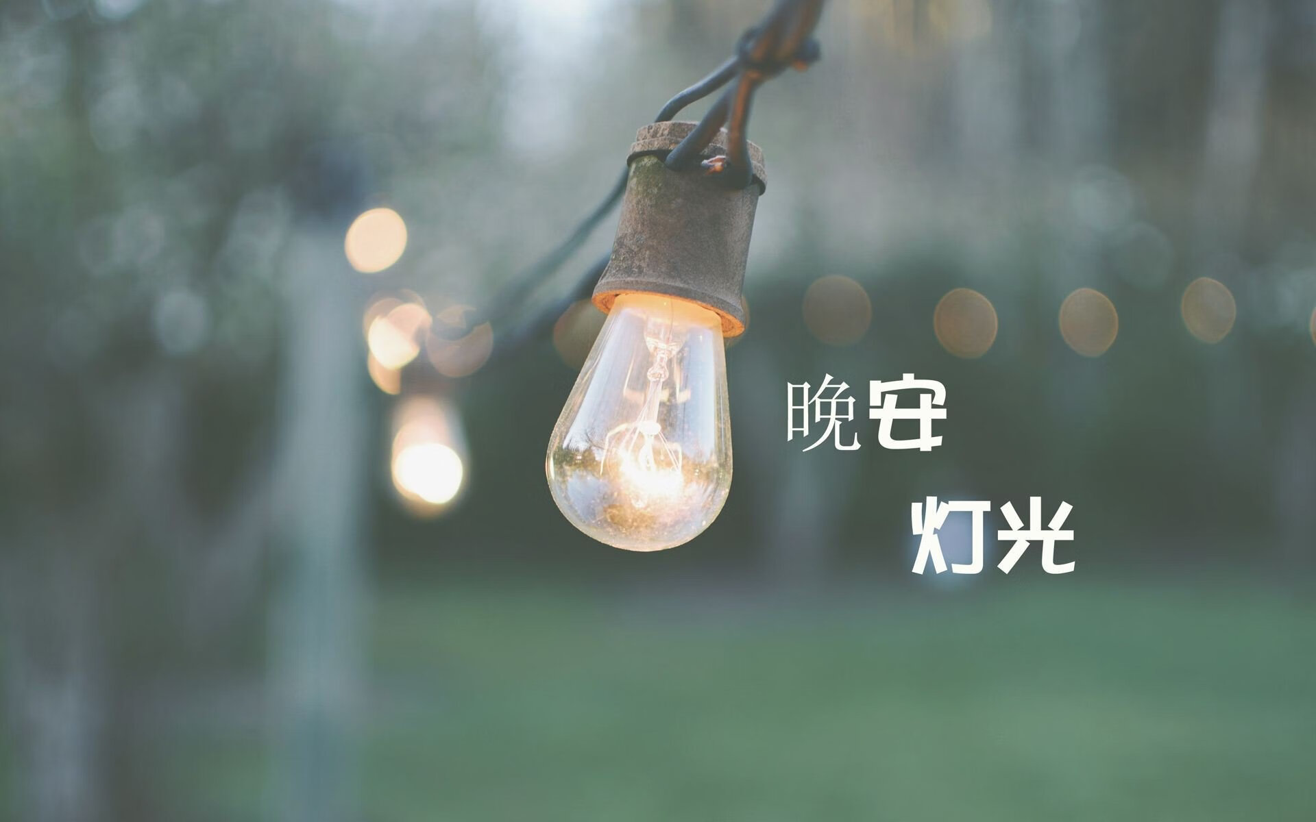橙衣军团横扫千军,荷兰力克加纳,卢卡库闪耀2026世界杯B组巅峰对决